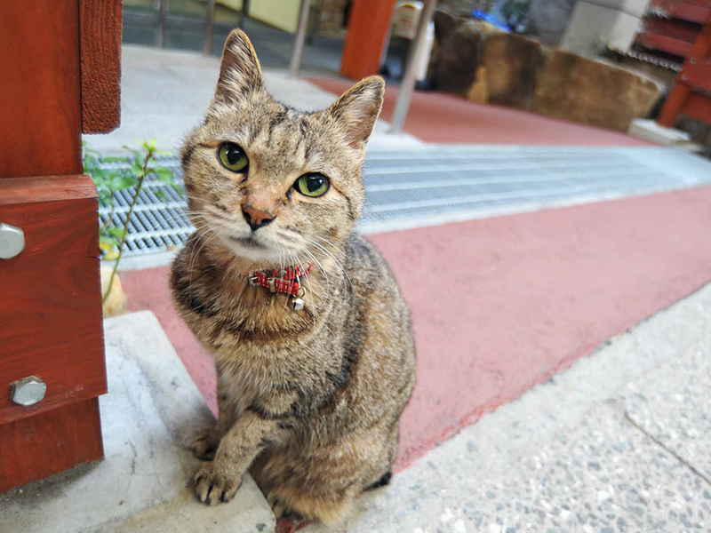 名古屋・中村区 店頭写真プリント・印刷サービス